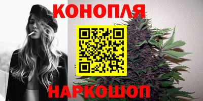 дживик Кунгур