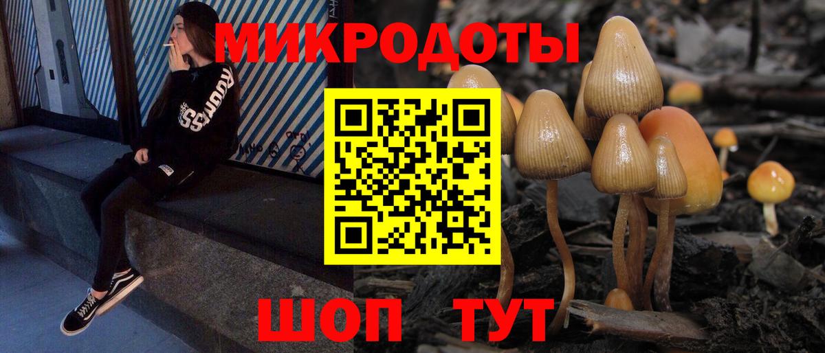 Псилоцибиновые грибы мухоморы Ульяновск